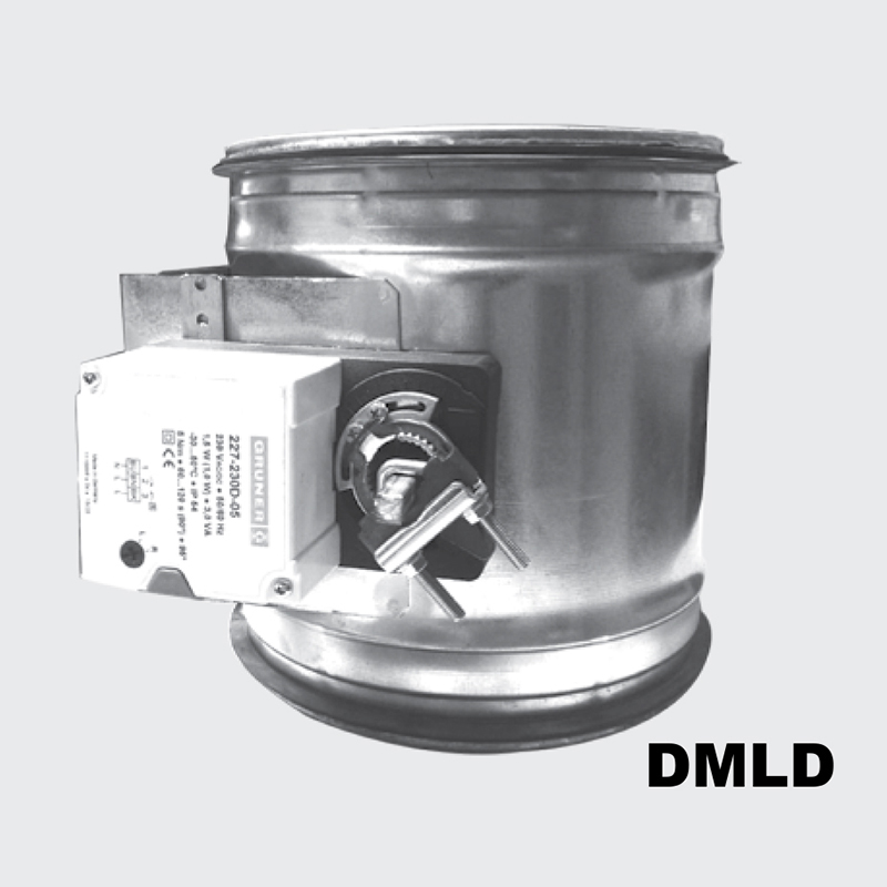DMLD